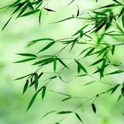 现代突击队战争游戏下载